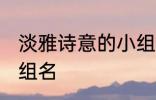 淡雅诗意的小组名 关于淡雅诗意的小组名