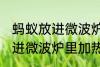 蚂蚁放进微波炉里加热会死吗 蚂蚁放进微波炉里加热会不会死