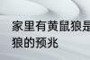 家里有黄鼠狼是什么兆头 家里有黄鼠狼的预兆