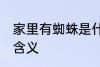 家里有蜘蛛是什么兆头 家里有蜘蛛的含义