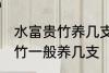 水富贵竹养几支最旺事业运 水养富贵竹一般养几支