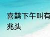 喜鹊下午叫有什么兆头 喜鹊下午叫的兆头