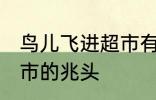 鸟儿飞进超市有什么兆头 鸟儿飞进超市的兆头