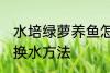 水培绿萝养鱼怎么换水 水培绿萝养鱼换水方法