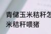 青储玉米秸秆怎样喂猪 如何做青储玉米秸秆喂猪