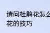 请问杜鹃花怎么养不爱死啊 养殖杜鹃花的技巧