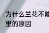 为什么兰花不能养家里 兰花不能养家里的原因