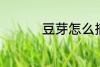 豆芽怎么摘 豆芽的洗法
