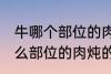 牛哪个部位的肉炖的牛肉汤好喝 牛什么部位的肉炖的牛肉汤好喝