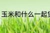 玉米和什么一起煲汤好 玉米煲汤做法