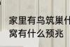家里有鸟筑巢什么征兆 小鸟来家里做窝有什么预兆