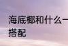 海底椰和什么一起煲汤好 海底椰煲汤搭配