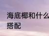 海底椰和什么一起煲汤好 海底椰煲汤搭配
