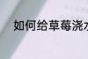 如何给草莓浇水 怎么给草莓浇水