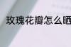玫瑰花瓣怎么晒干 如何晒玫瑰花干
