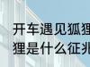 开车遇见狐狸有什么兆头 路上遇到狐狸是什么征兆