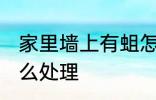 家里墙上有蛆怎么办 家里墙上有蛆怎么处理