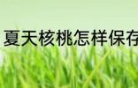 夏天核桃怎样保存 夏天核桃如何保存