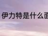 伊力特是什么面料 伊力特面料是什么