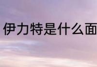 伊力特是什么面料 伊力特面料是什么