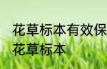 花草标本有效保存方法 怎么长期保存花草标本