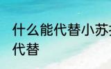 什么能代替小苏打 小苏打可以用什么代替
