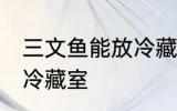 三文鱼能放冷藏室吗 三文鱼能不能放冷藏室