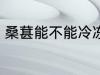 桑葚能不能冷冻 桑葚可以冷冻保存吗