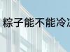 粽子能不能冷冻 粽子可以冷冻保存吗