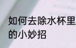 如何去除水杯里的异味 去除水杯异味的小妙招