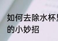 如何去除水杯里的异味 去除水杯异味的小妙招