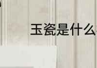 玉瓷是什么材质 玉瓷的简介