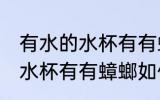 有水的水杯有有蟑螂怎么处理 有水的水杯有有蟑螂如何处理