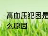 高血压犯困是怎么了 高血压犯困是什么原因