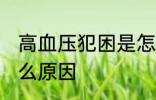 高血压犯困是怎么了 高血压犯困是什么原因