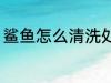 鲨鱼怎么清洗处理 鲨鱼干怎么洗干净