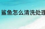 鲨鱼怎么清洗处理 鲨鱼干怎么洗干净