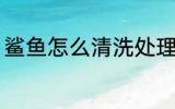 鲨鱼怎么清洗处理 鲨鱼干怎么洗干净