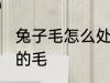 兔子毛怎么处理最干净 怎么清洗兔子的毛