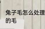 兔子毛怎么处理最干净 怎么清洗兔子的毛