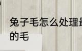 兔子毛怎么处理最干净 怎么清洗兔子的毛
