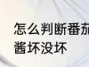 怎么判断番茄酱坏没坏 如何判断番茄酱坏没坏