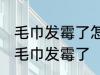 毛巾发霉了怎么洗掉小窍门 如何解决毛巾发霉了