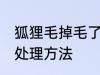 狐狸毛掉毛了怎么处理 狐狸毛掉毛的处理方法