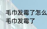 毛巾发霉了怎么洗掉小窍门 如何解决毛巾发霉了
