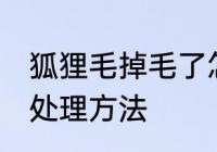 狐狸毛掉毛了怎么处理 狐狸毛掉毛的处理方法