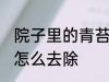 院子里的青苔怎么处理 院子里长青苔怎么去除