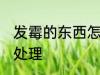 发霉的东西怎么处理 发霉的东西如何处理
