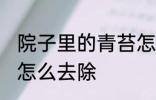 院子里的青苔怎么处理 院子里长青苔怎么去除