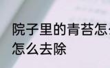 院子里的青苔怎么处理 院子里长青苔怎么去除